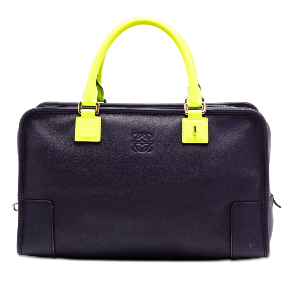 Pre-Loved LOEWE Special Edition Bicolor Goatskin Amazona 36